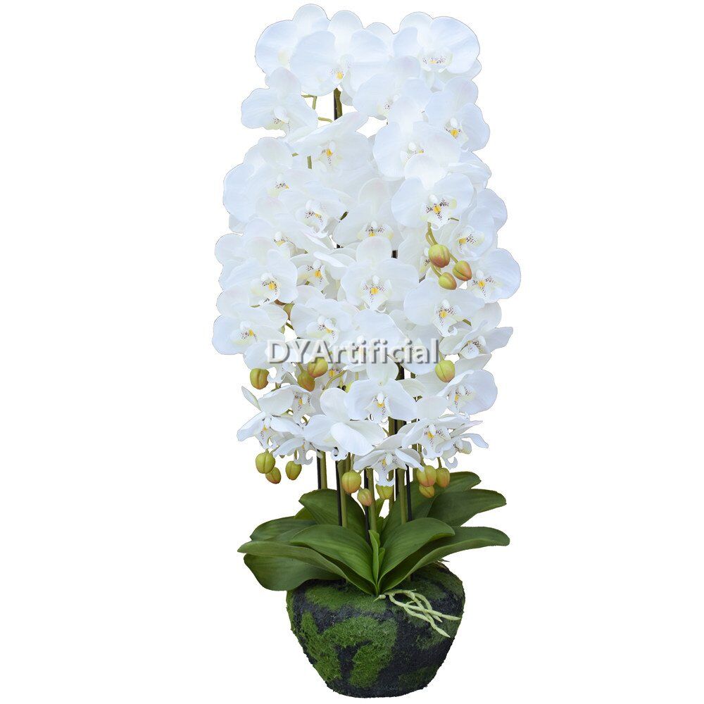 ort 02 foam based orchids 8 flowers