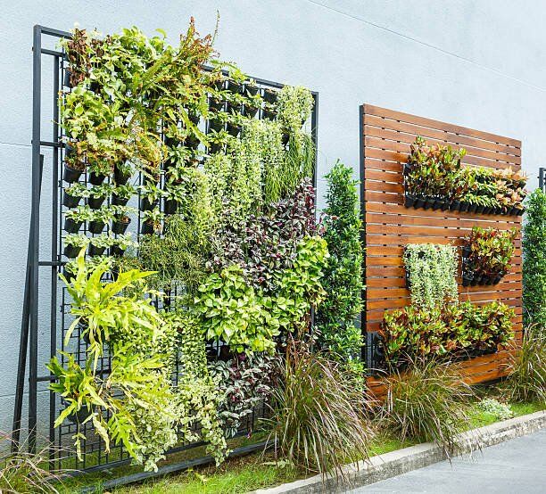 Artificial plant suppliers discount